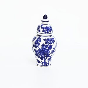 Porcelain Blue and White Jinger Jar