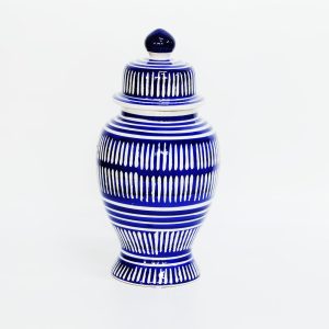 Porcelain Blue and White Jinger Jar